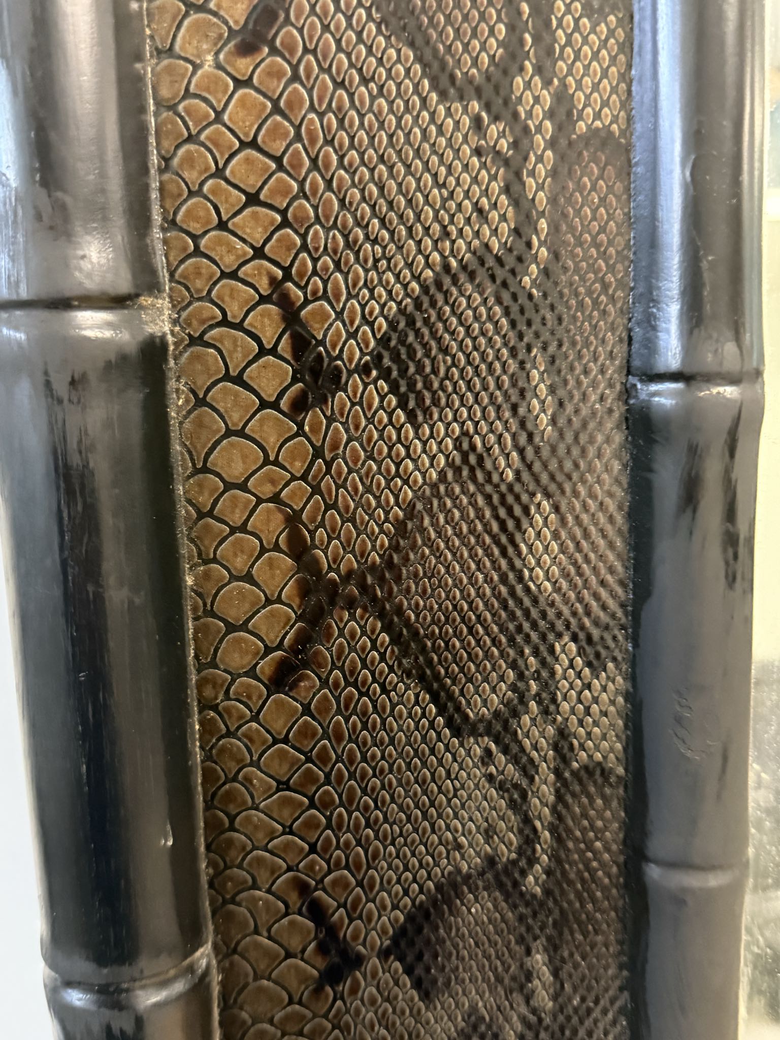 Wall Mirror with Snakeskin-Patterned Inset A | Maxsold