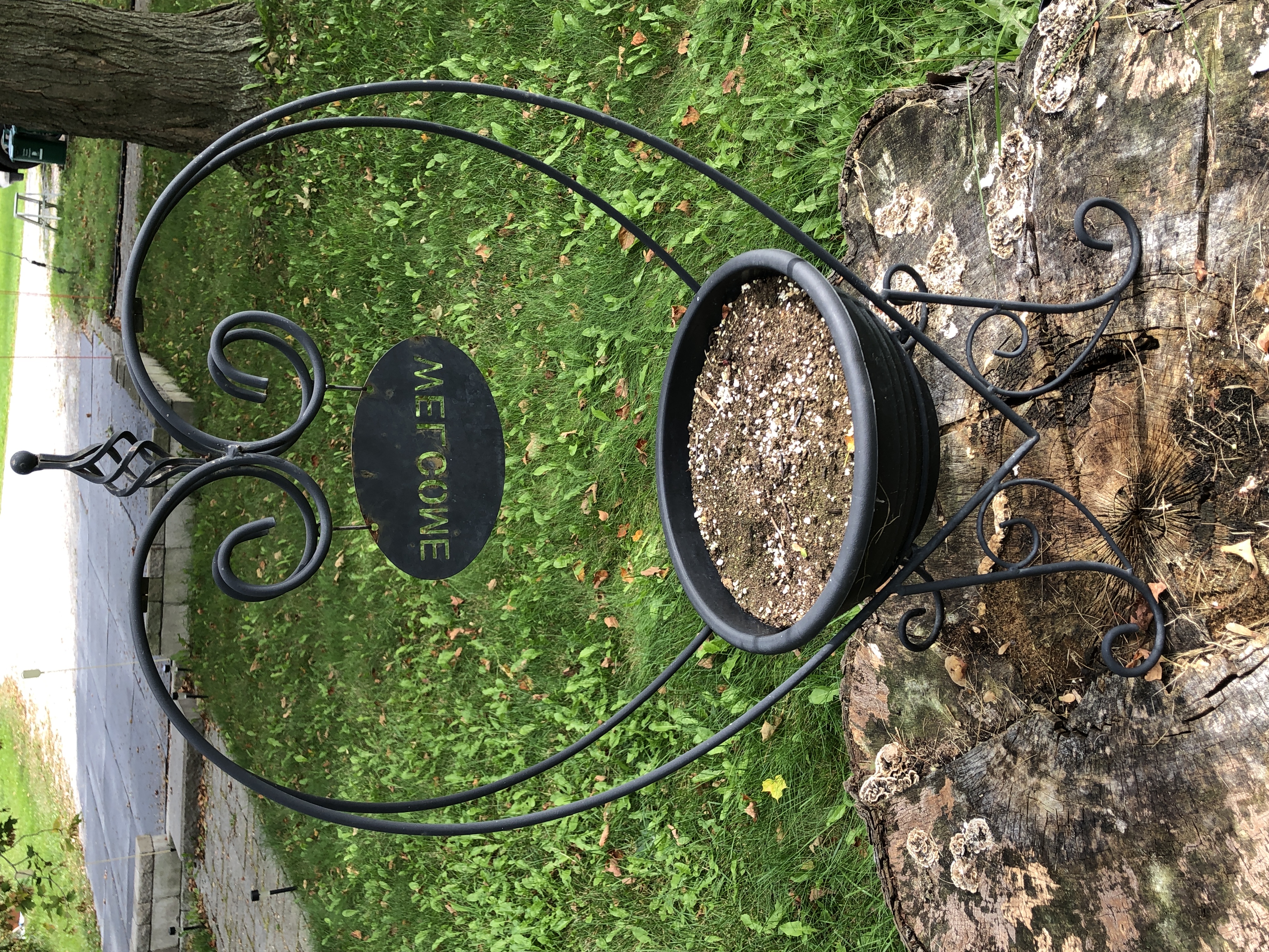 Black metal heart-shaped plant stand | Maxsold