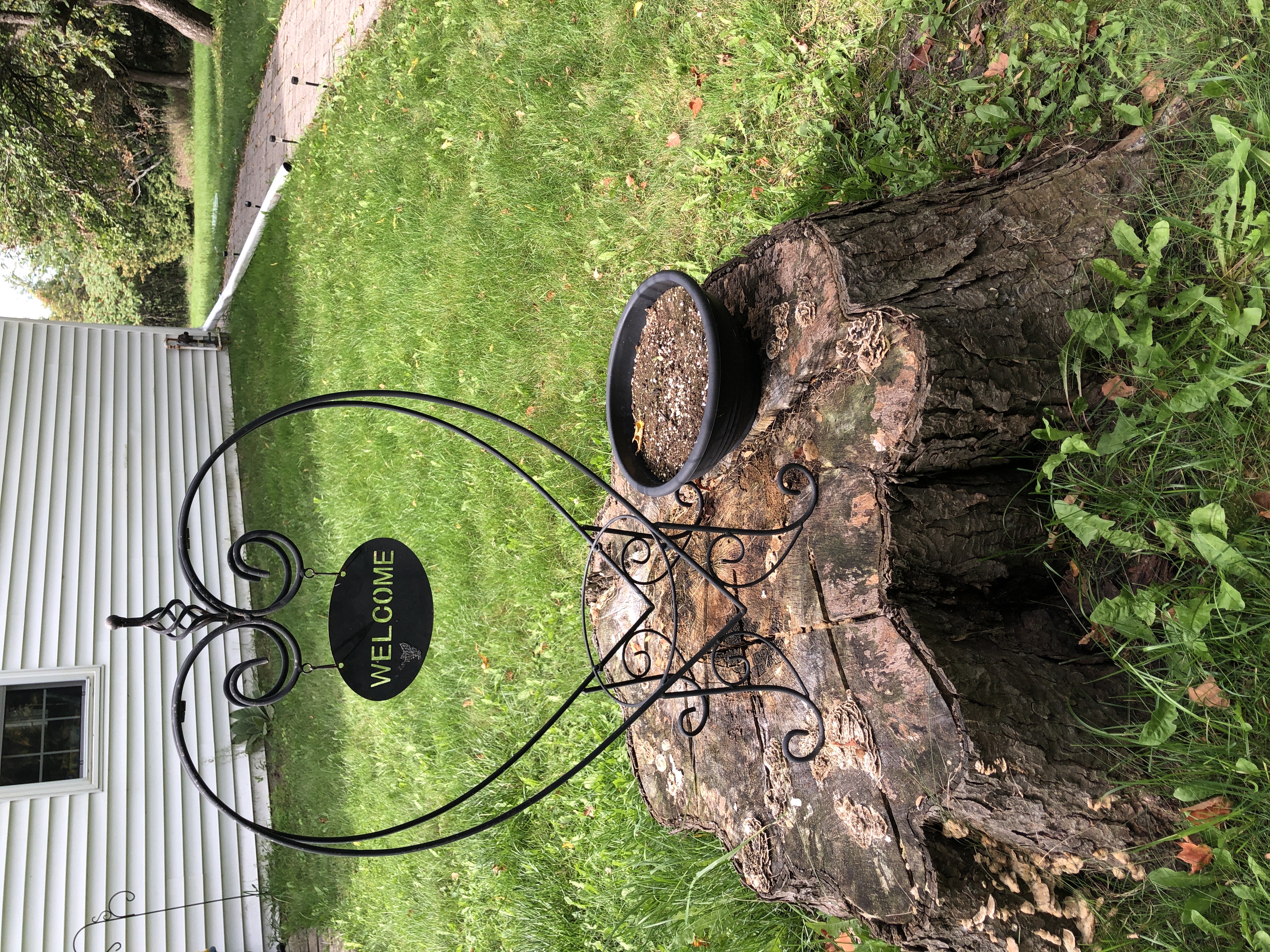Black metal heart-shaped plant stand | Maxsold