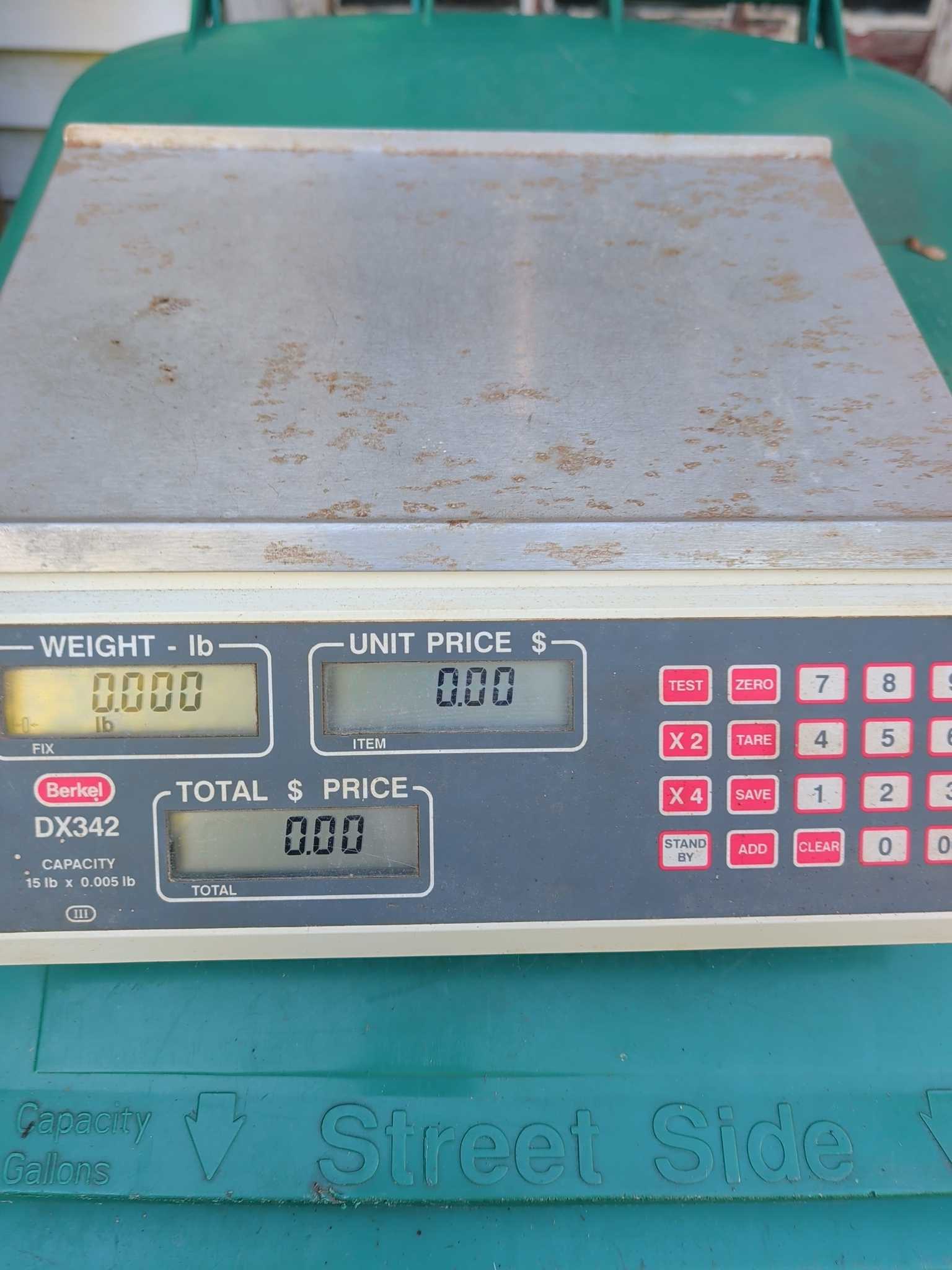 Berkel DX342 Digital Bench Scale | Maxsold