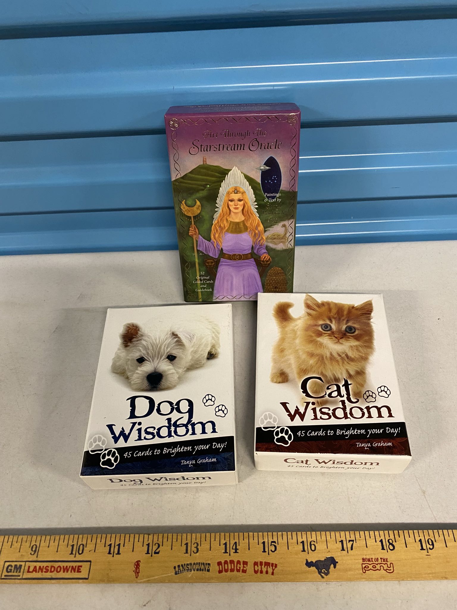 Dog Wisdom, Cat Wisdom & Starstream Oracle card decks | Maxsold