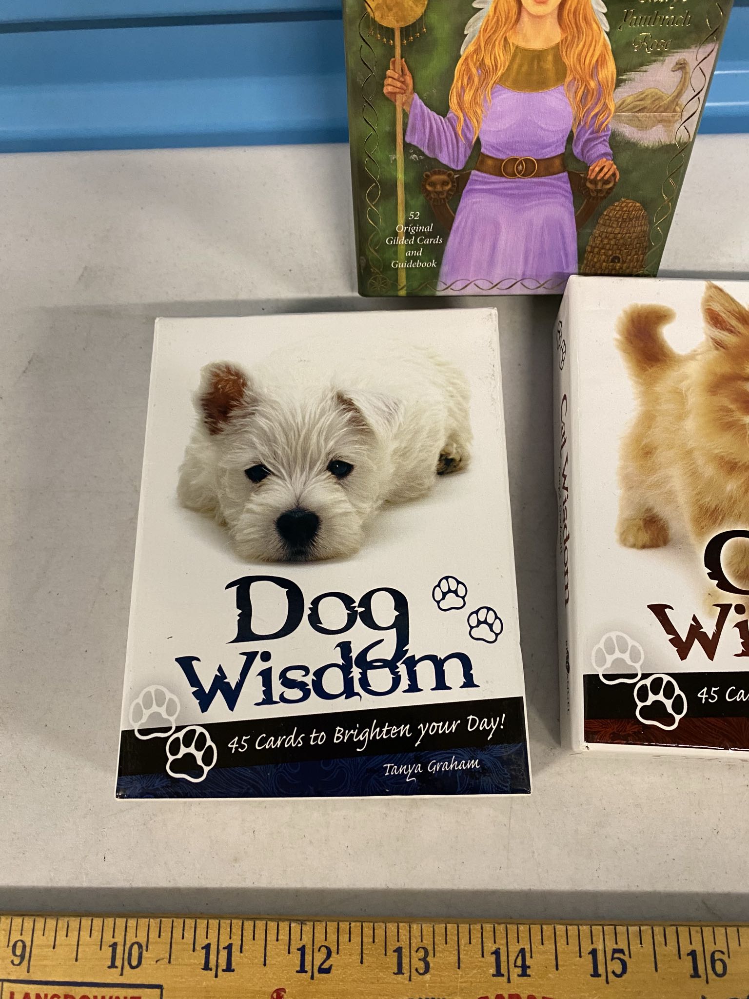 Dog Wisdom, Cat Wisdom & Starstream Oracle card decks | Maxsold