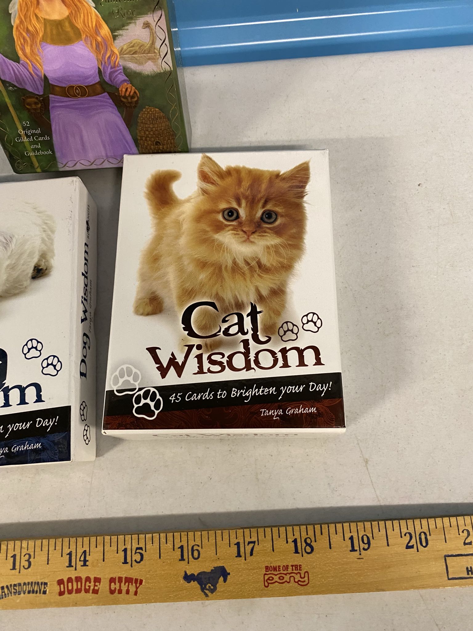 Dog Wisdom, Cat Wisdom & Starstream Oracle card decks | Maxsold