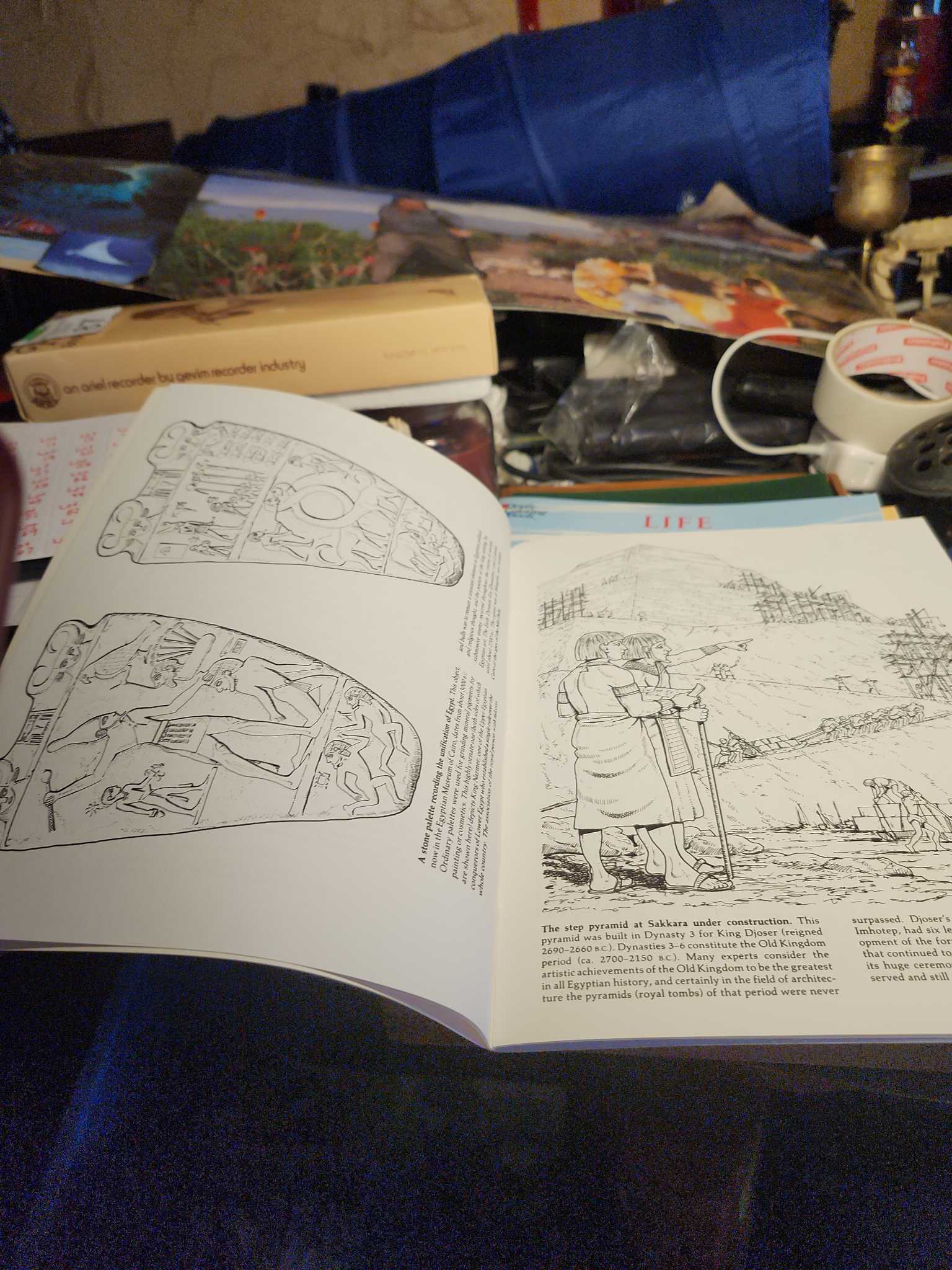 Life in Ancient Egypt Coloring Book | Maxsold