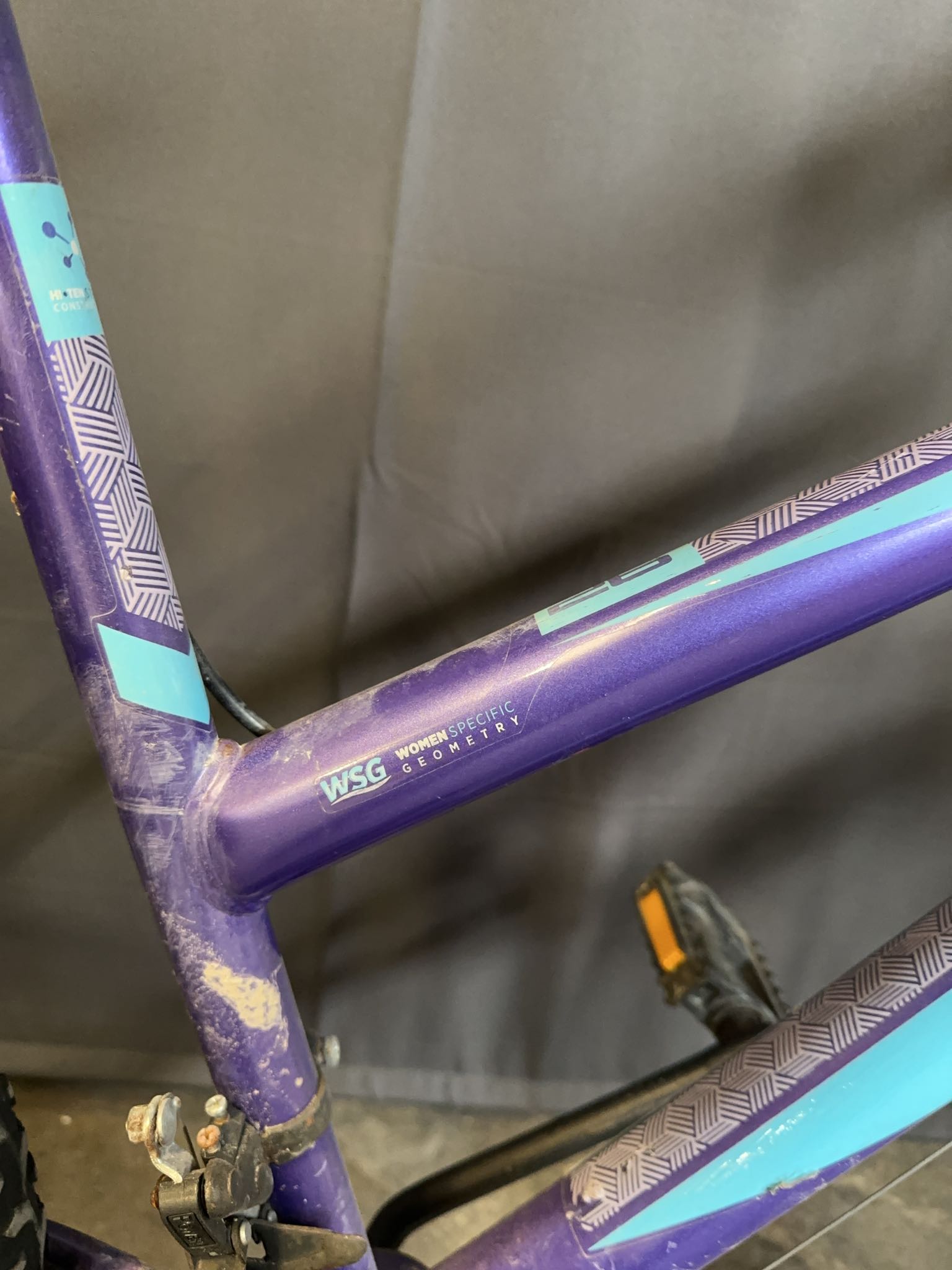 Movelo Algonquin 26