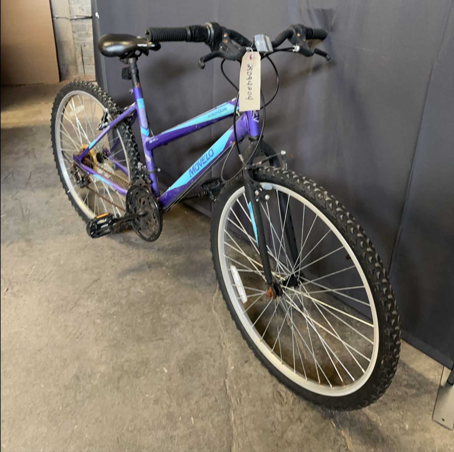 Movelo Algonquin 26