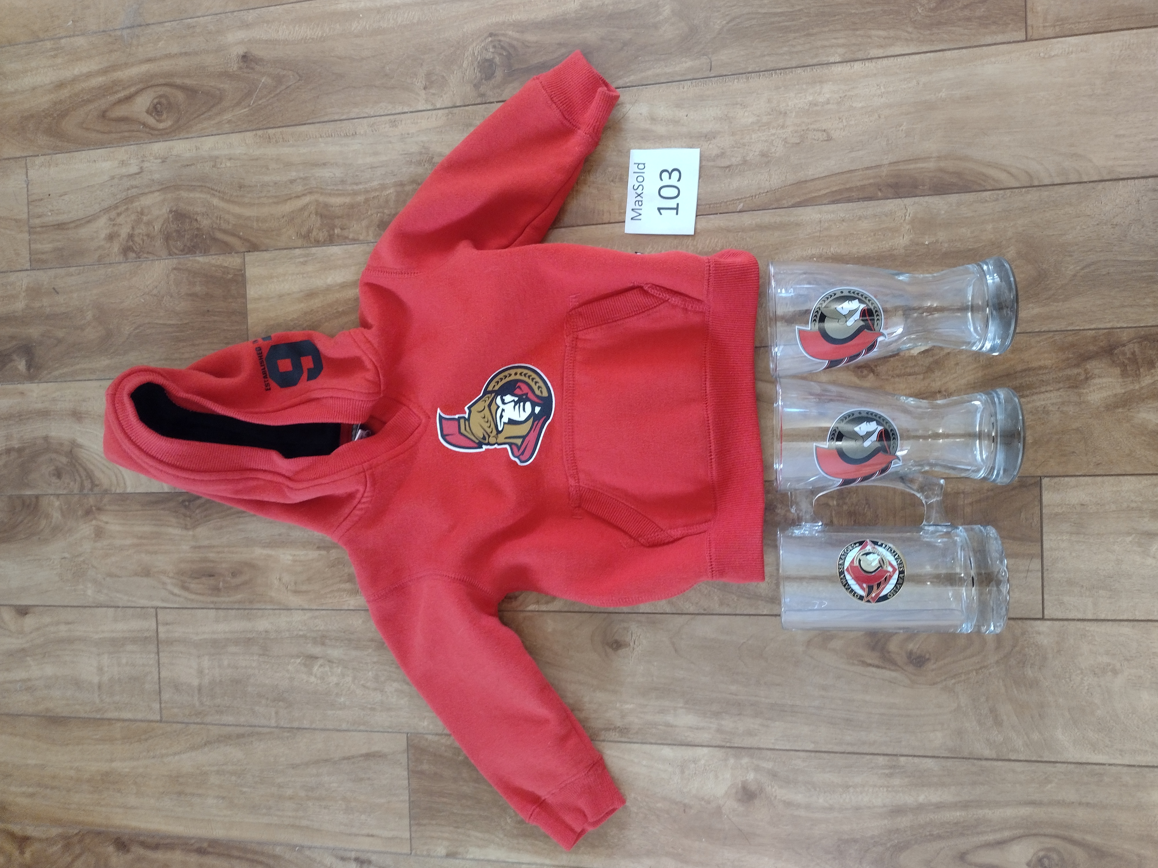 Ottawa Senators kids hoodie with 4 logo glasses | Maxsold